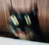 509
