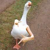 318
