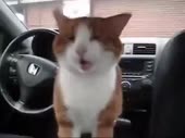 723