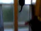 837