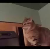 478