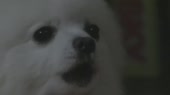 5259