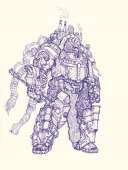 81