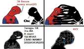 80