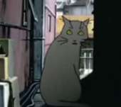 159