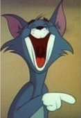 43
