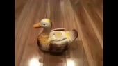 3974