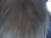 9468