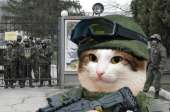 217