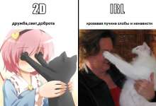 54