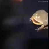 474