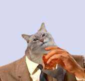 133