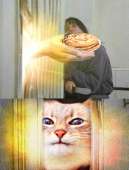 123
