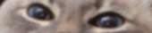 290
