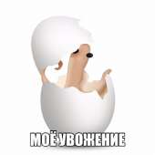24