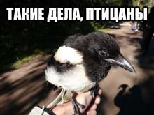 185