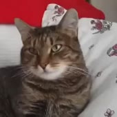 4943