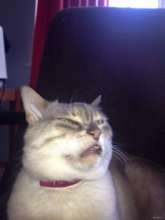 185