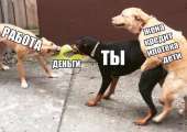 59