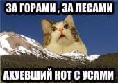 60