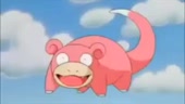 497