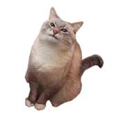 222