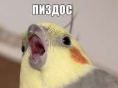142