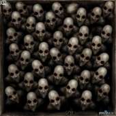 500x499