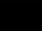 384x288