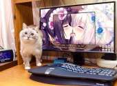 900x665
