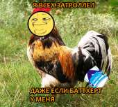 490x443