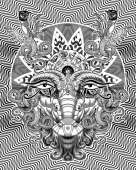 500x625