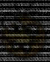 800x994