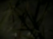 480x360