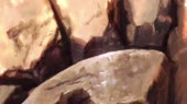 900x506