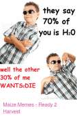 500x746