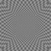 743x743