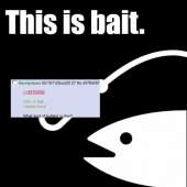 623x623