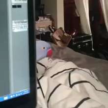 360x360