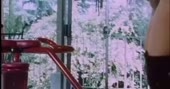 450x238