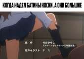 604x423
