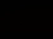 384x288