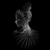 1200x1200