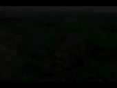 320x240