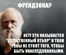 540x454