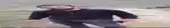 600x100