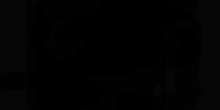586x293
