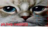 620x380
