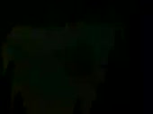 320x240