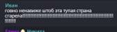 289x81